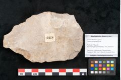 Foto (Objekt + Etikett) von Callitris brongniartii Endl. (NHMW-GEO-2024-0188-8228)